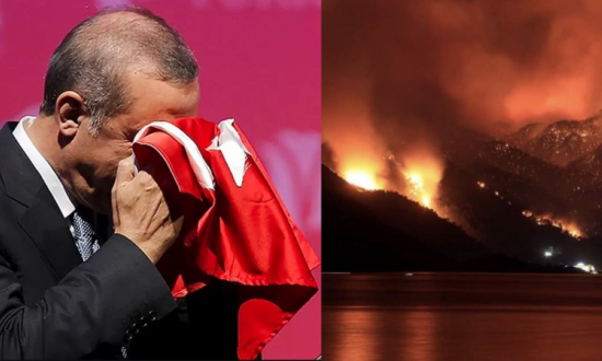 Турция: чай от Эрдогана и «курдский заговор»