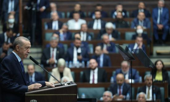 «Кипрский вопрос» – палочка-выручалочка для Эрдогана?